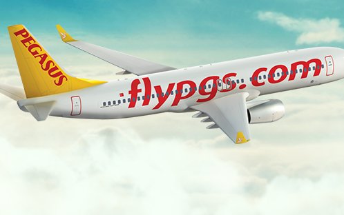 Pegasus Airlines relaunches domestic flights
