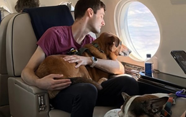 Vicuna Air launches Vicuna Waypoints to expand its pet-focused network beyond air travel