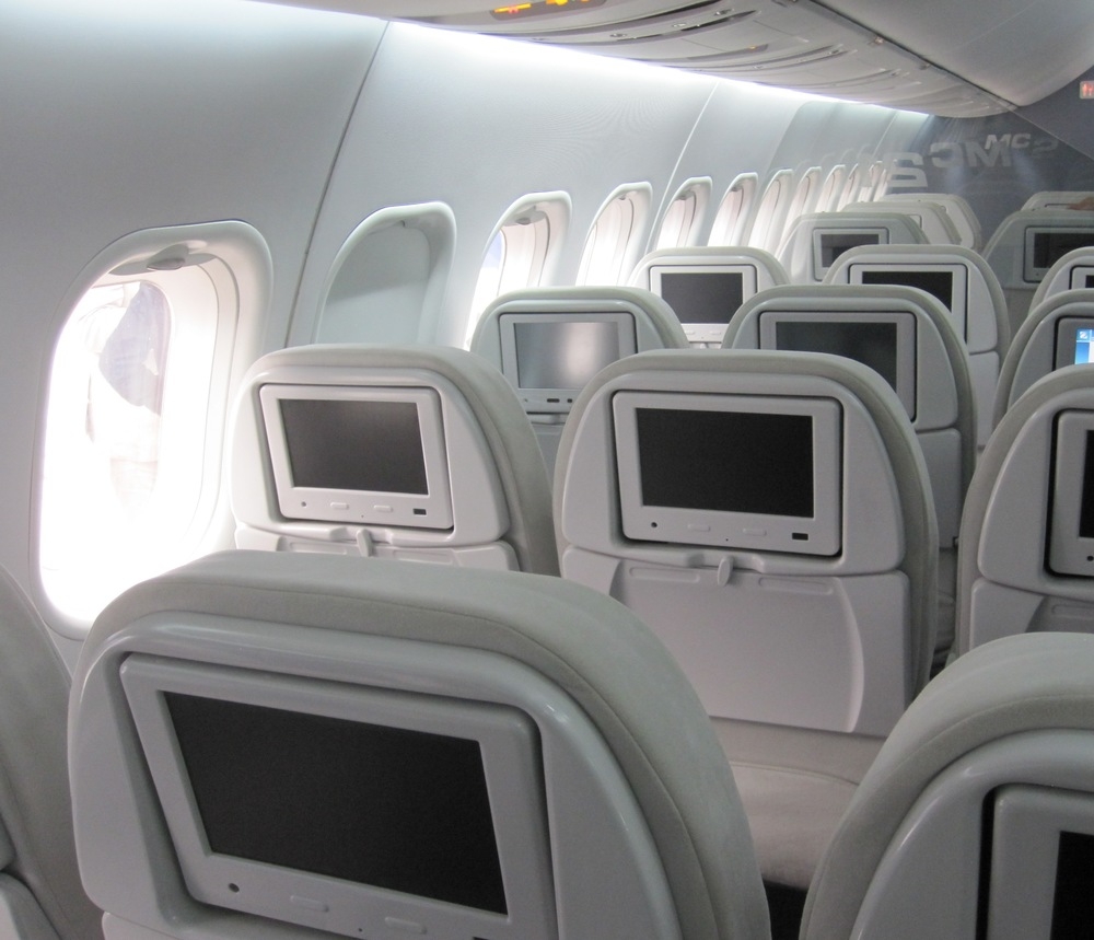 Russia to Set Up Own Airline Ticket Booking System. Russia is developing