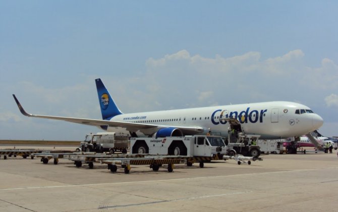 Cat Dispute on Flight Escalates to F-16 Scramble, Emergency Landing