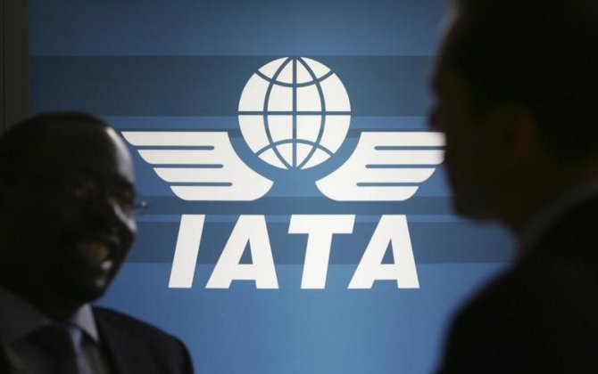 US, Asia-Pacific Lead Airlines' Profit Surge