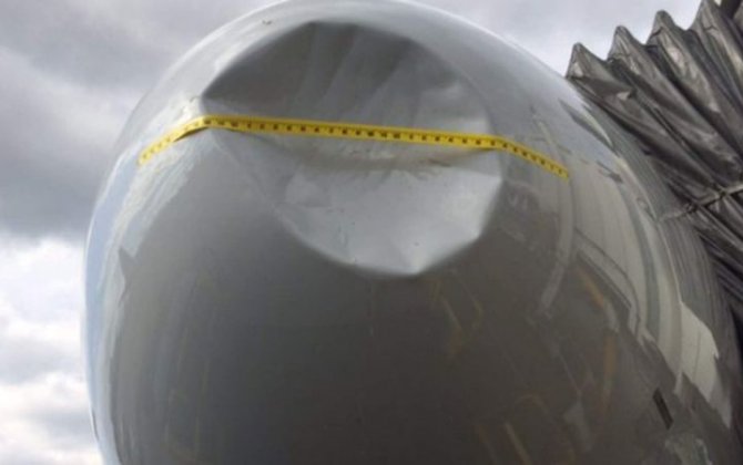 Bird Strike Leaves Large Dent In Plane