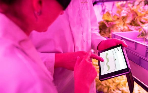 easyJet and Rolls-Royce to collaborate on future aviation sustainability research