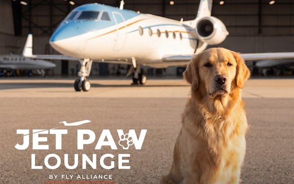 Fly Alliance launches Jet Paw Lounge - World&rsquo;s first private aviation terminal designed entirely for dogs